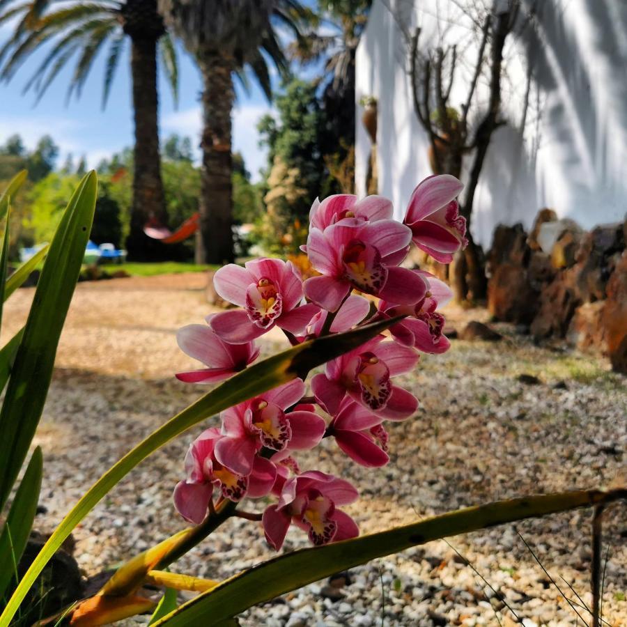 Quinta Do Paraiso São Teotónio Exterior foto